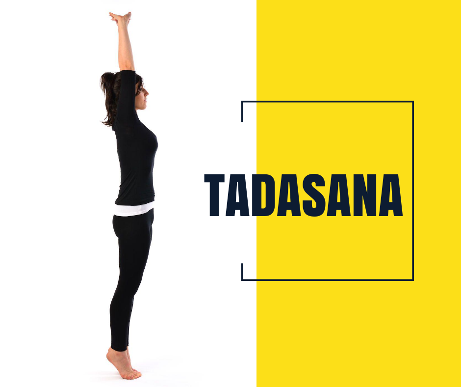 6 Must Try Yoga Asanas for Beginners - PaisaWapas Blog