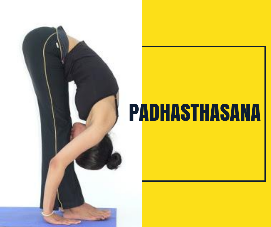 Eka Pada Adho Mukha Svanasana (One-Legged Down Dog) - Sarvyoga | Yoga