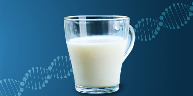 milk consumption with DNA