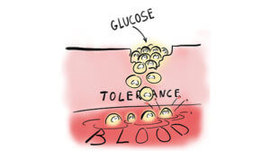 Low carb diet can improve glucose tolerance