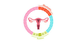 Improvement in fertility and restoration of the menstrual cycle